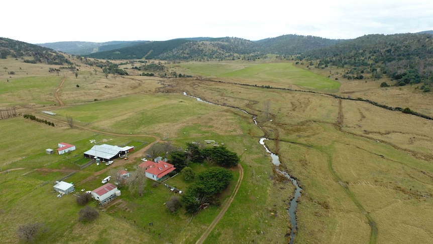 A photo captured from above by drone of several houses and sheds on a sheep property, surrounded by green paddocks and hills.