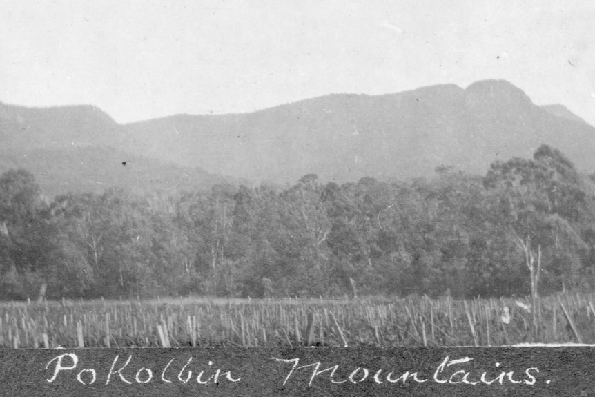 A black and white photo of Pokolbin Mountains in the Hunter Valley.