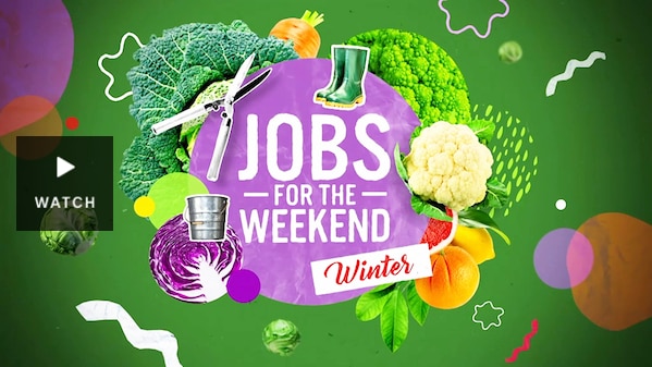 Graphic with vegetables and gumboots and text 'Jobs for the Weekend - Winter. Has Video.