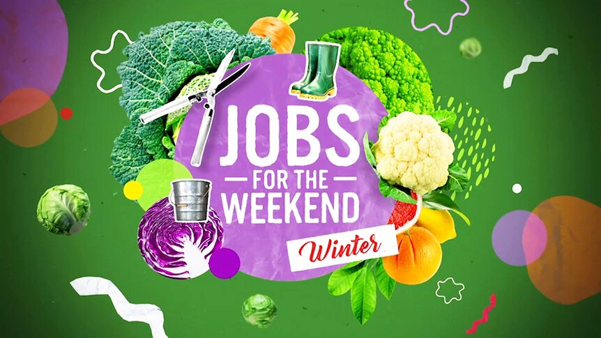 Graphic with vegetables and gumboots and text 'Jobs for the Weekend - Winter