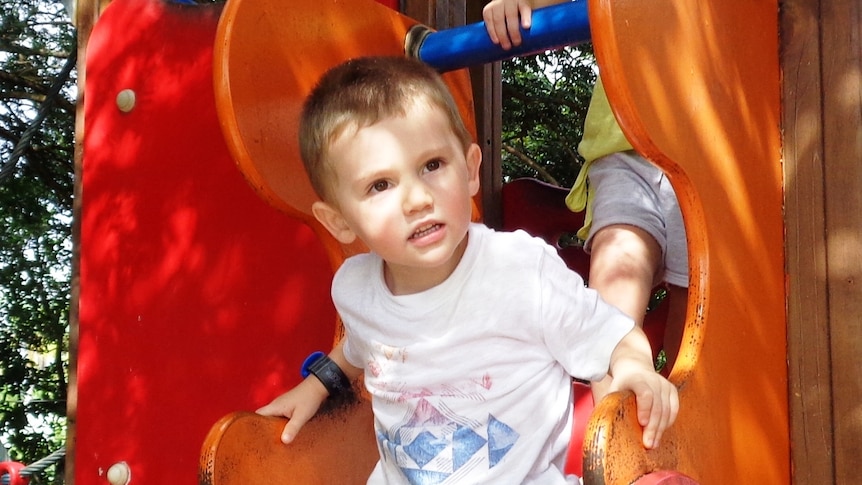 William Tyrrell playing on a  slide. William vanished from his grandmother's Kendall property, near Port Macquarie in September