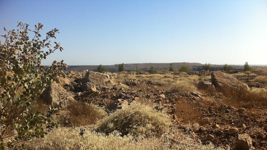 Waste dump rehabilitation site at Century Mine