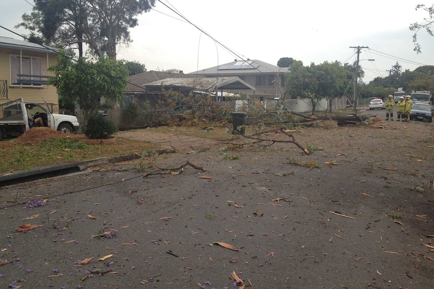 Shards of wood flew over a wide area of Wana Street in Sunnybank when a tree was hit by lightning this afternoon.