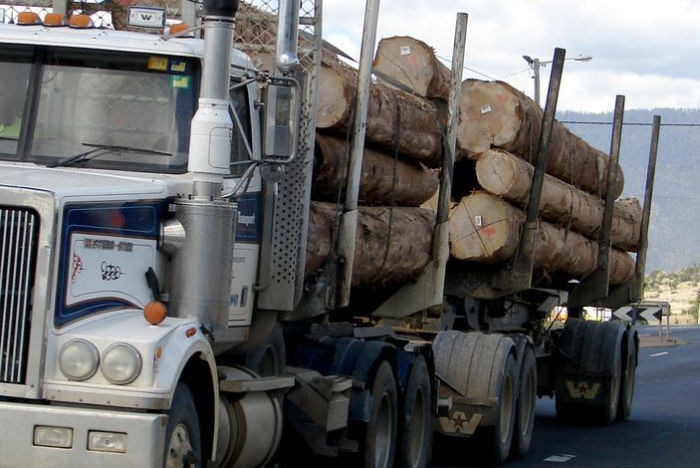 A log truck on a road in Tasmania
