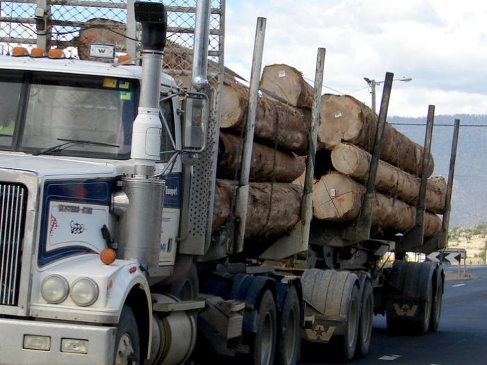 A log truck on a Tasmanian road.