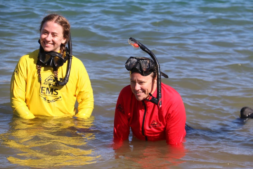 Yvette Eglinton swims at West Lakes with the help of a submersible wheelchair.