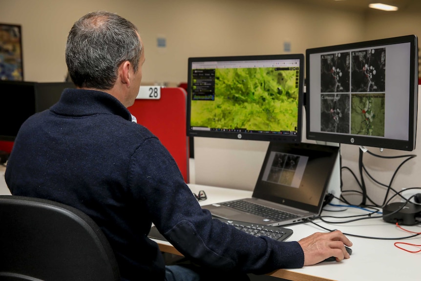 A man sits at a desk with his back to the computer looking at a screen with satellite imagery.