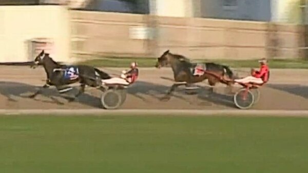 A horse catches up to another one in a race.