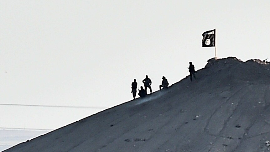 Islamic State militants in Kobane