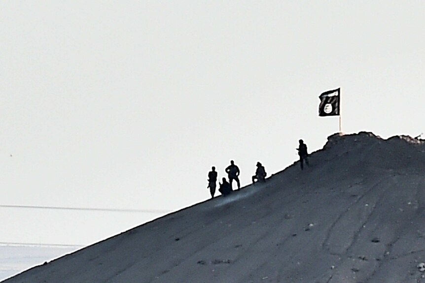 Islamic State militants in Kobane