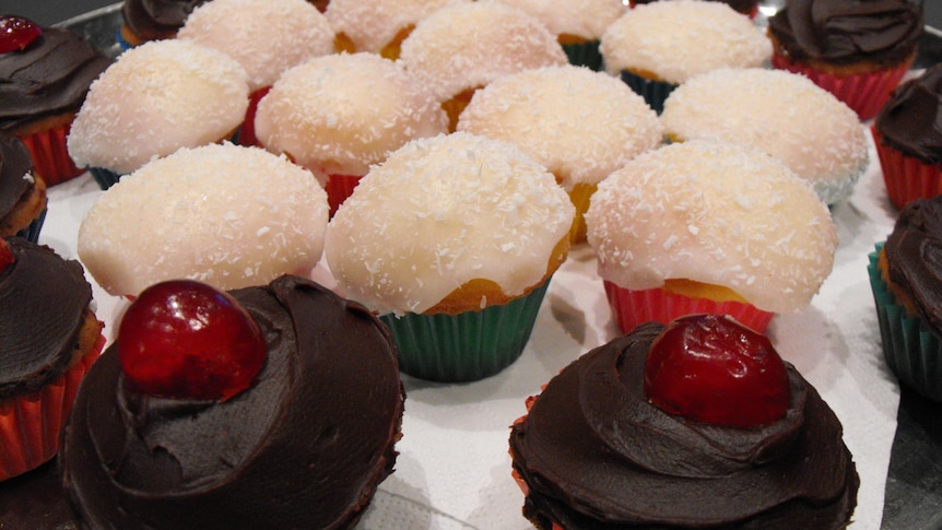 A plate of cupcakes, some with white icing and coconut sprinkles, others iced with chocolate and a cherry on top.