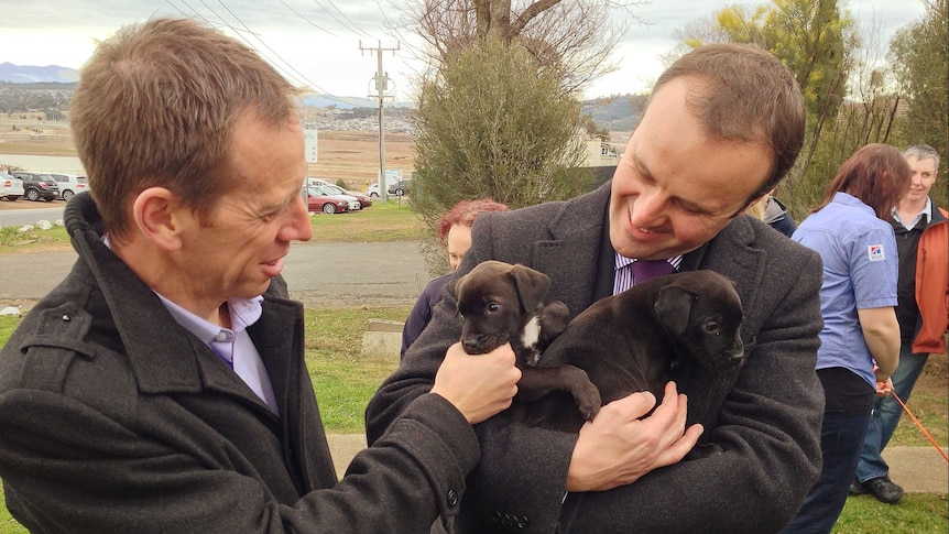Shane Rattenbury and Andrew Barr meet puppies at the RSPCA shelter.