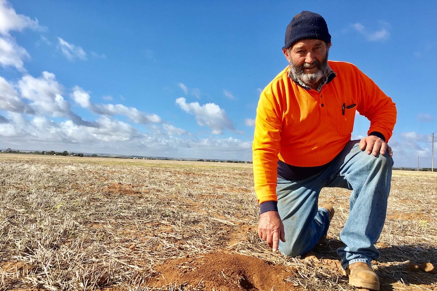 A man in jeans and an orange work shirt kneels on the ground near mouse holes.