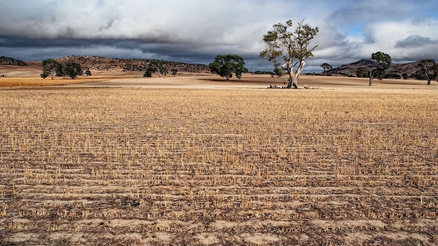 On the road in western Victoria.