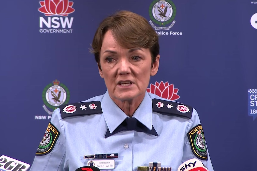 Police Commissioner Karen Webb