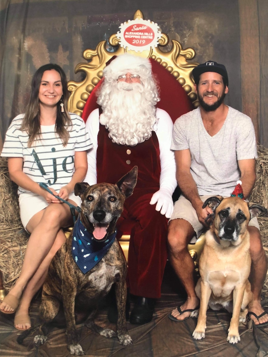 A man and woman beside Santa with their two large dogs