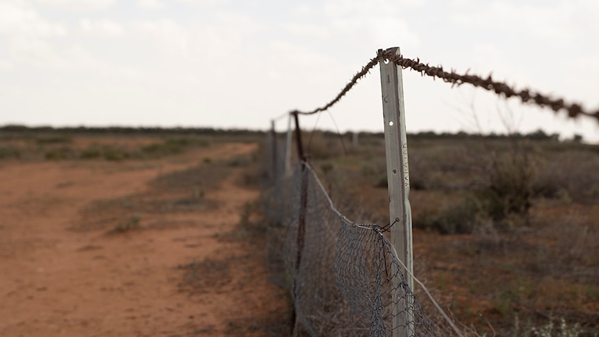 A fence stretches towards the horizon