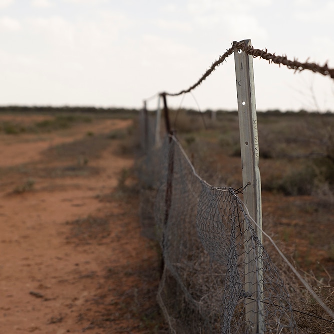 A fence stretches towards the horizon