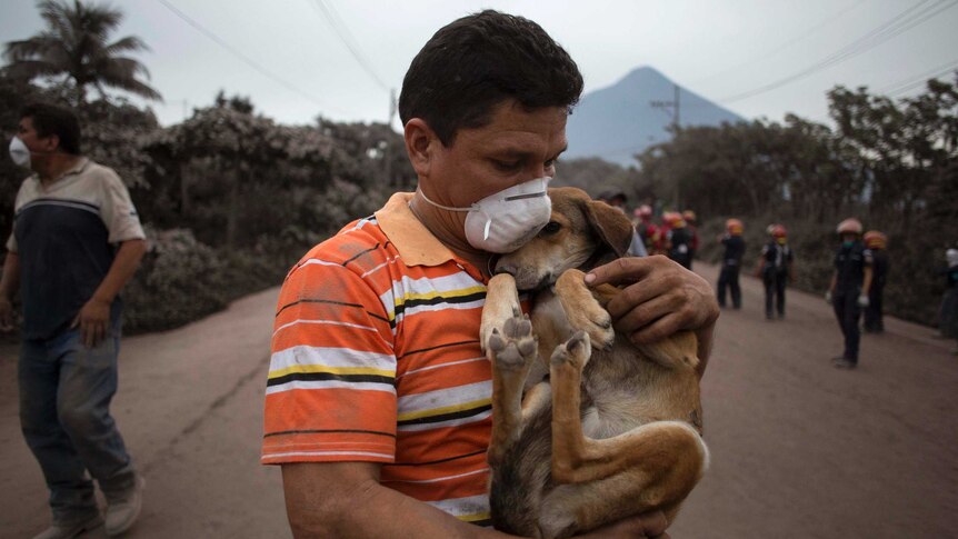 A resident cradles his dog after rescuing him near the Volcan de Fuego