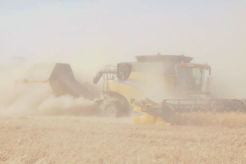 Dusty crop during WA harvest