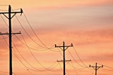 Electricity poles and wires sunset generic