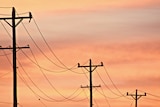 Electricity poles and wires at sunset