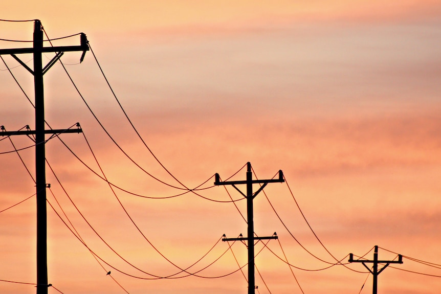 Electricity poles and wires at sunset
