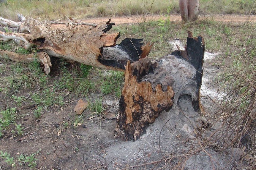 Damage at sacred site near Timber Creek