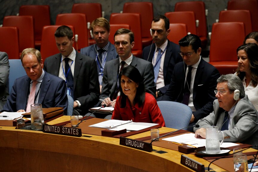 US Ambassador to the United Nations Nikki Haley addresses the UN Security Council.