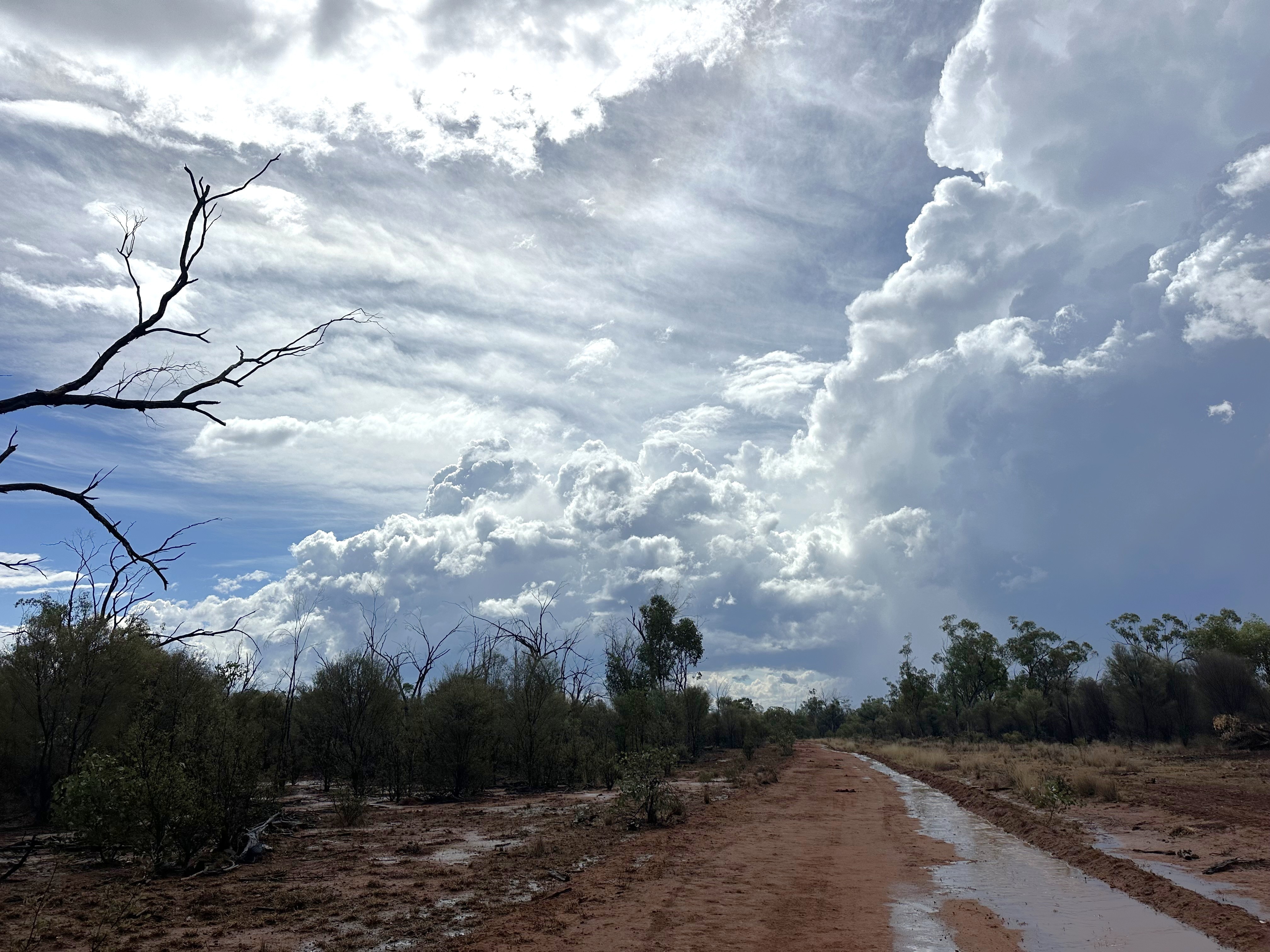 Strong winds and storms in central Queensland set to roll into weekend ...