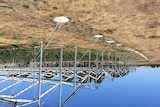 Part of the four hectare greenhouse at Reid Fruits Jericho orchard