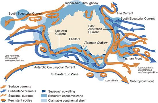 A graphic image showing the 4 major current systems around Australia
