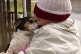 A woman wearning a beanie and jacket cuddles an elderly jack russell and kisses his nose