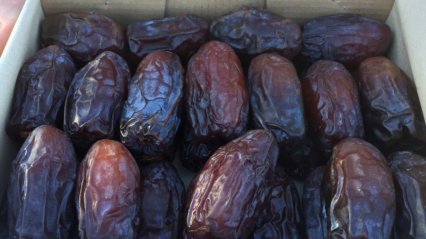 Organic dates in a box.