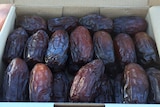 Organic dates in a box.