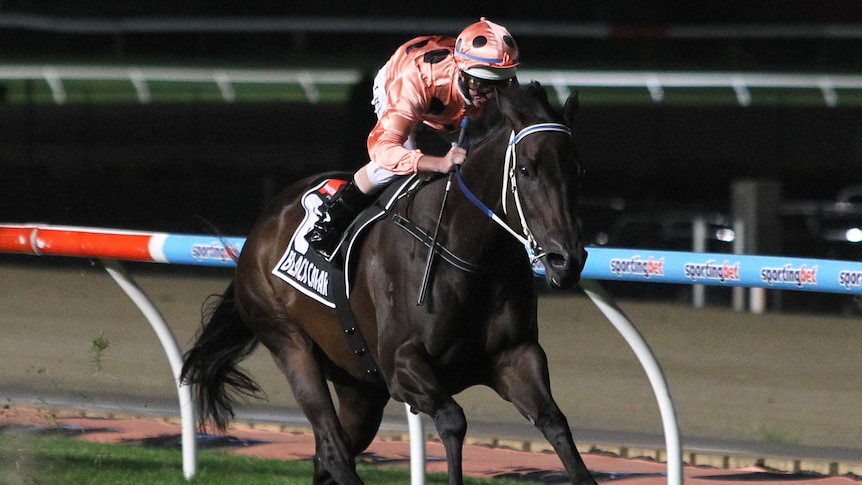 24 straight ... Luke Nolan rides Black Caviar to an easy win at Moonee Valley.