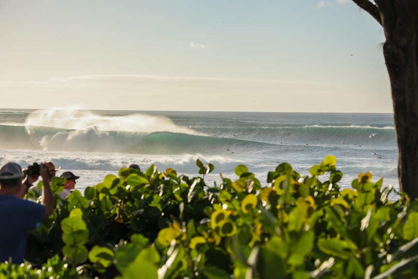 A wave breaking at Pipeline.