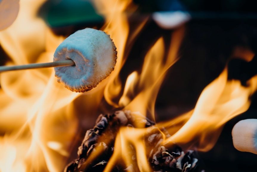 marshmallow on a stick over a flame in a fire