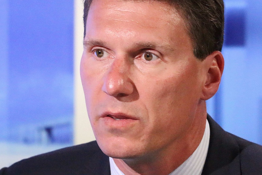 Headshot of Cory Bernardi speaking in a TV studio.