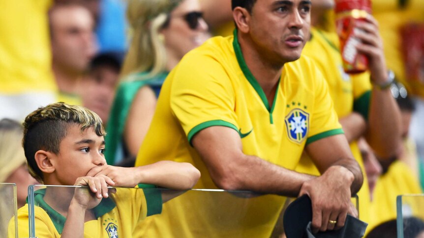Brazil fan