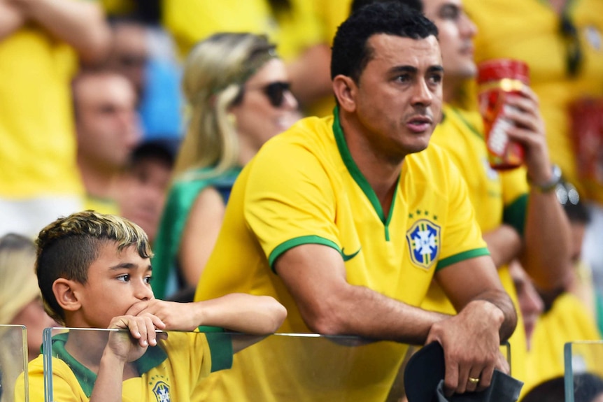 Brazil fan