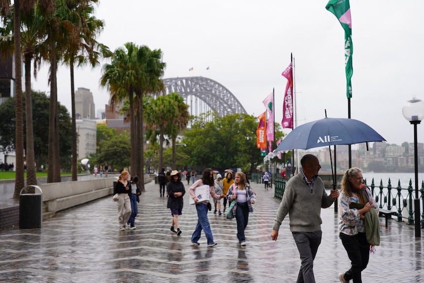 People holding umbrellas and walking on a dreary day at Circular Quay in Sydney with the Harbour Bridge in the background