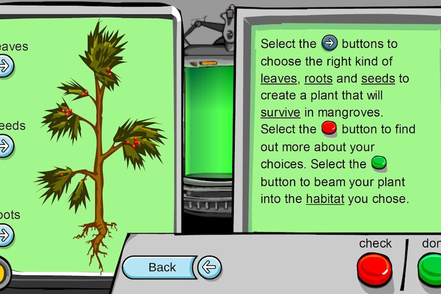 A digital illustration of a plant with options to change the types of leaves, seeds and roots.
