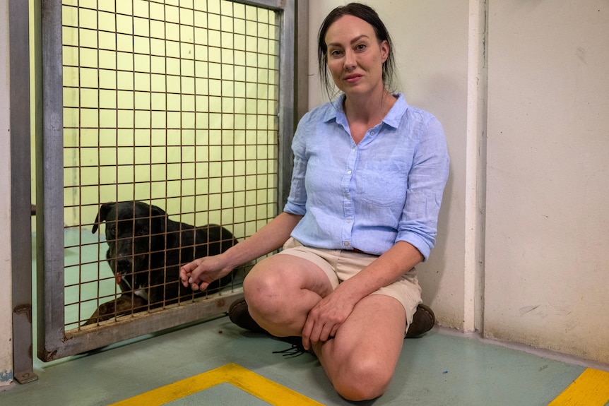 Laura sits on the floor of a pound, next to a dog in a cage.