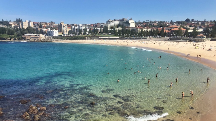 People swimming in the water at Coogee Beach on a sunny day.