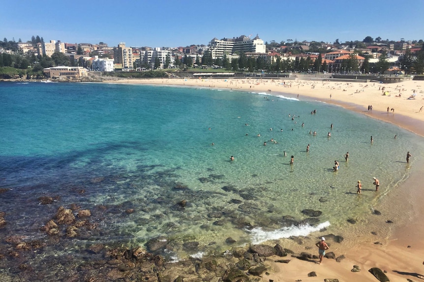 People swimming in the water at Coogee Beach on a sunny day.