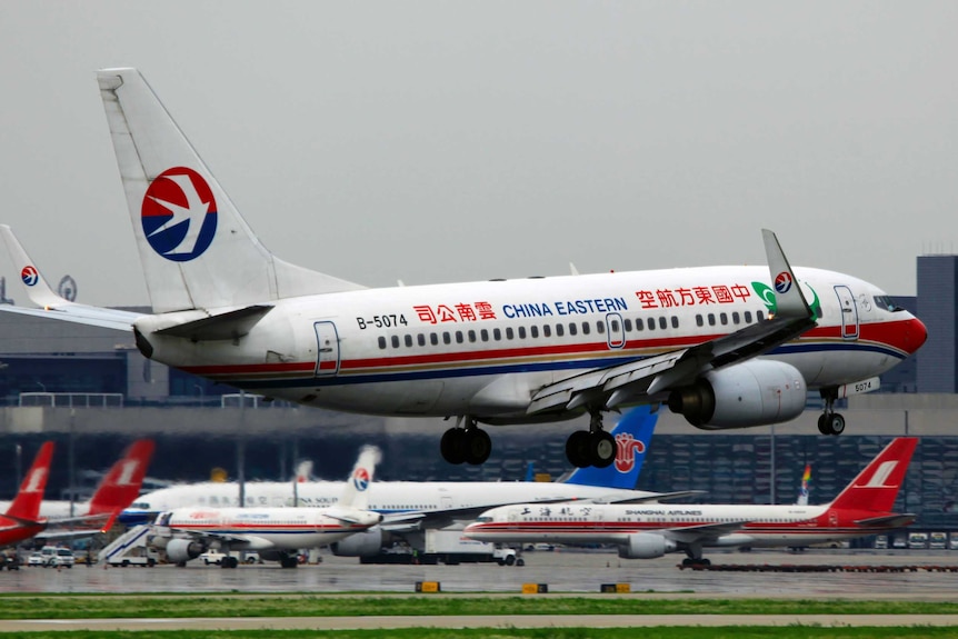 A large jet takes off from an airport surrounded by smaller planes