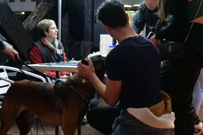 A young man in black tee pats a dog under a well-lit tent, an older woman with short hair, wearing red, vest, looks away. 