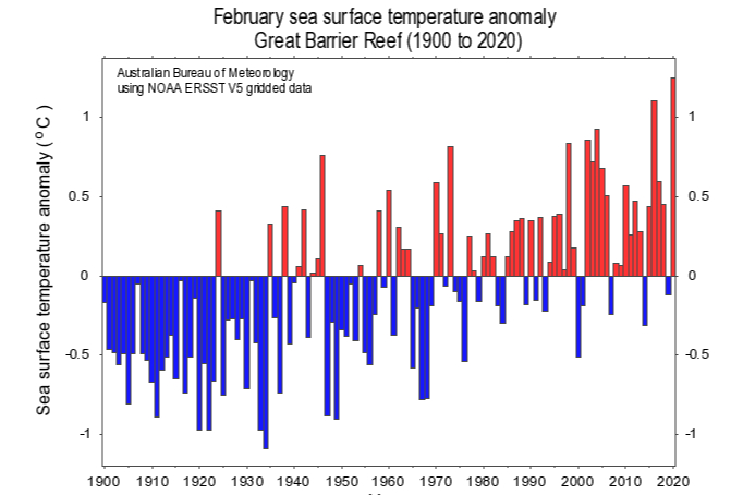 A graph showing sea temperatures in February around the Great Barrier Reef were the warmest on record