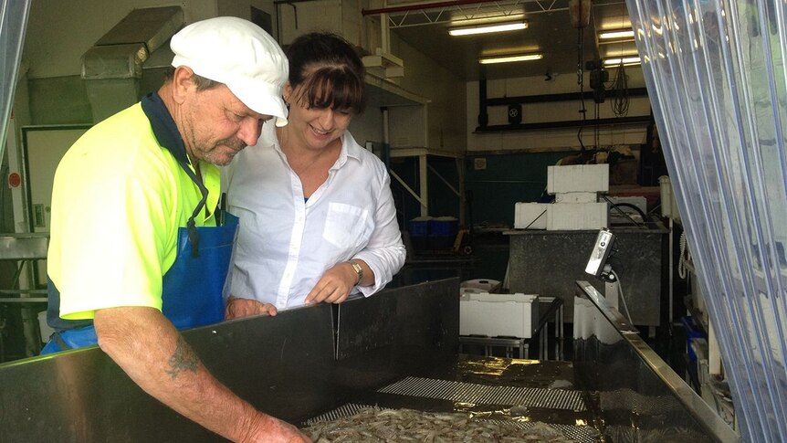 Garry Fuller and Danielle Adams with school prawns at Clarence River Fishermens Co-operative.
